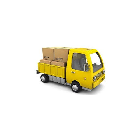 TRANSPORTE 24H