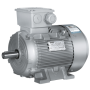 Motor eléctrico unidad exterior CIATESA IL-120