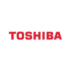 Placa control exterior TOSHIBA modelo MMY-MAP1001HT8-E 4316V366